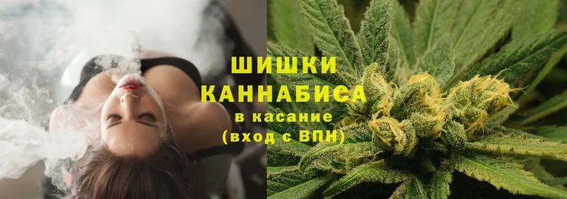 Бошки марихуана Ganja  mega ссылка  Цоци-Юрт 